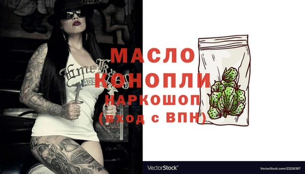 индика Вязьма