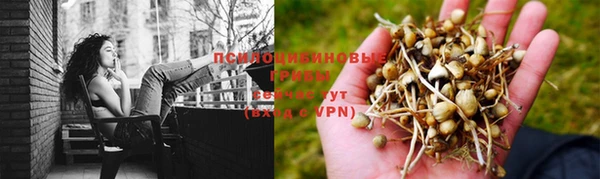 не бодяженный Вязники