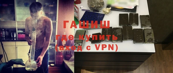 индика Вязьма