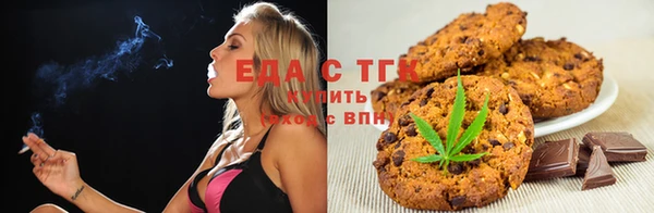 индика Вязьма
