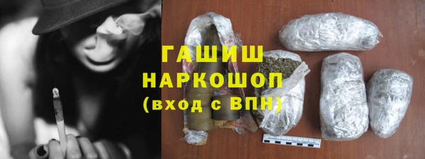 индика Вязьма