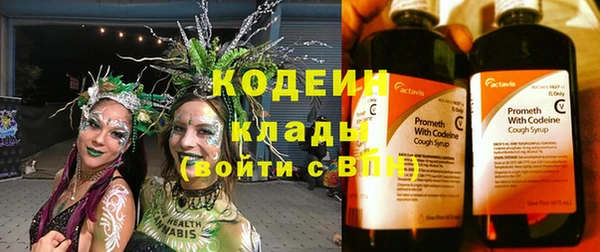 индика Вязьма