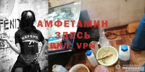 индика Вязьма